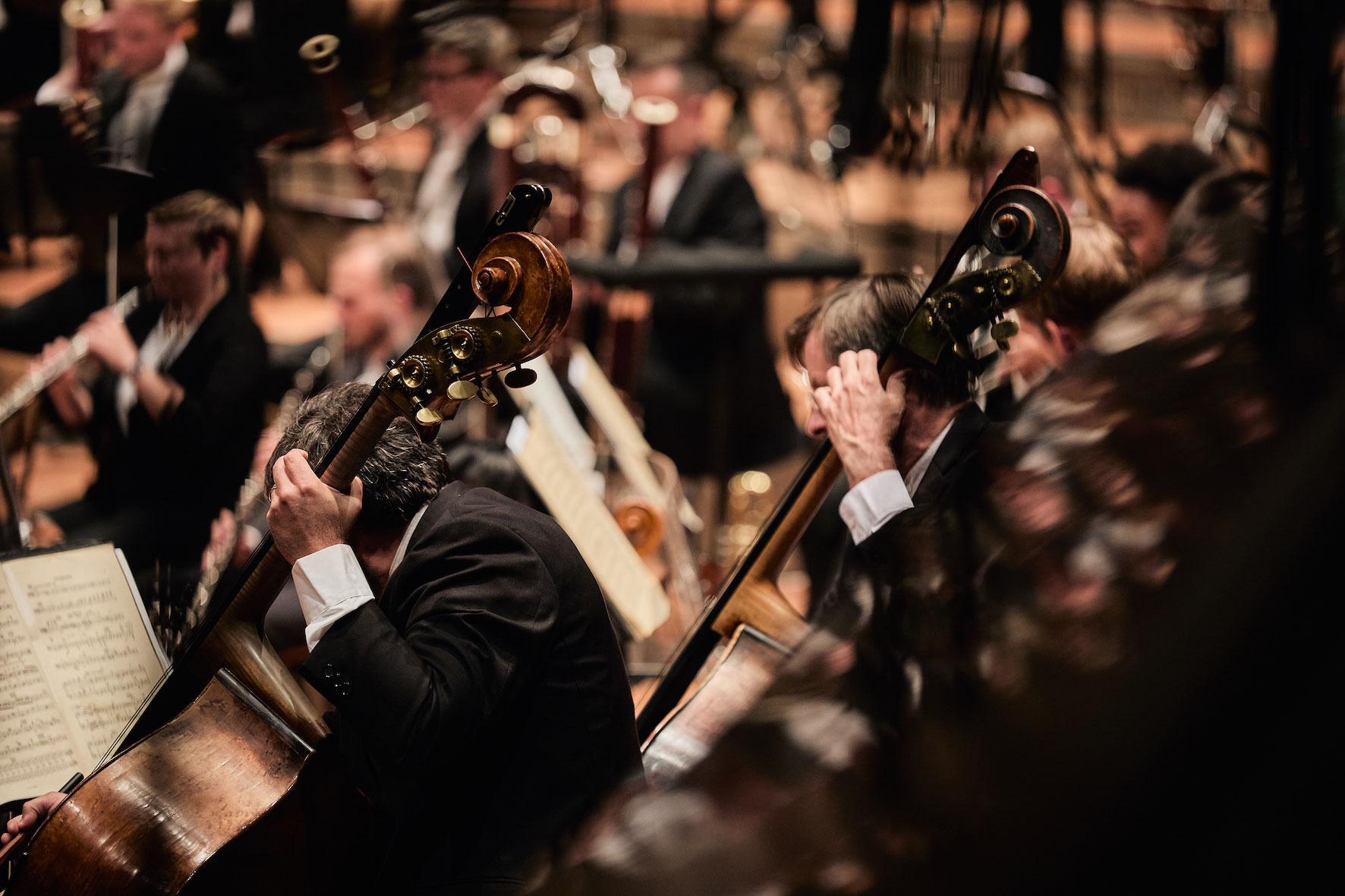 Detail of the London Symphony Orchestra, in the foreground two cellists are visible in front of their sheet music.